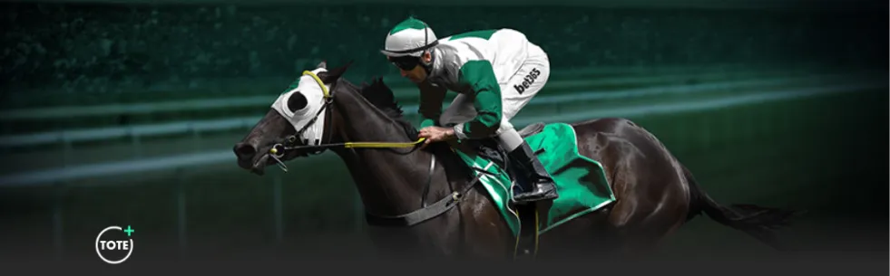 勞森獨取,分助,新疆隊連勝,皇冠体育app下载,皇冠体育官网,澳门皇冠体育,bet皇冠体育在线