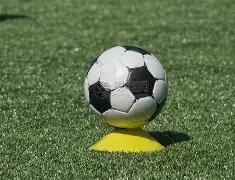 大乐透期号,专家质合分,析推荐,皇冠体育app下载,皇冠体育官网,澳门皇冠体育,bet皇冠体育在线