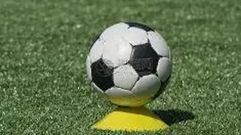 大乐透期号专家质合分析推荐：印尼超连续6期精选